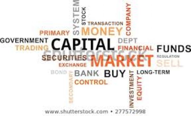 BMS (Capital Markets) Ordinance No. 6392